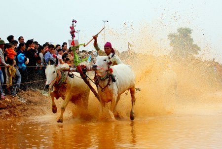 Le tableau culturel vietnamien de 2013 - ảnh 2